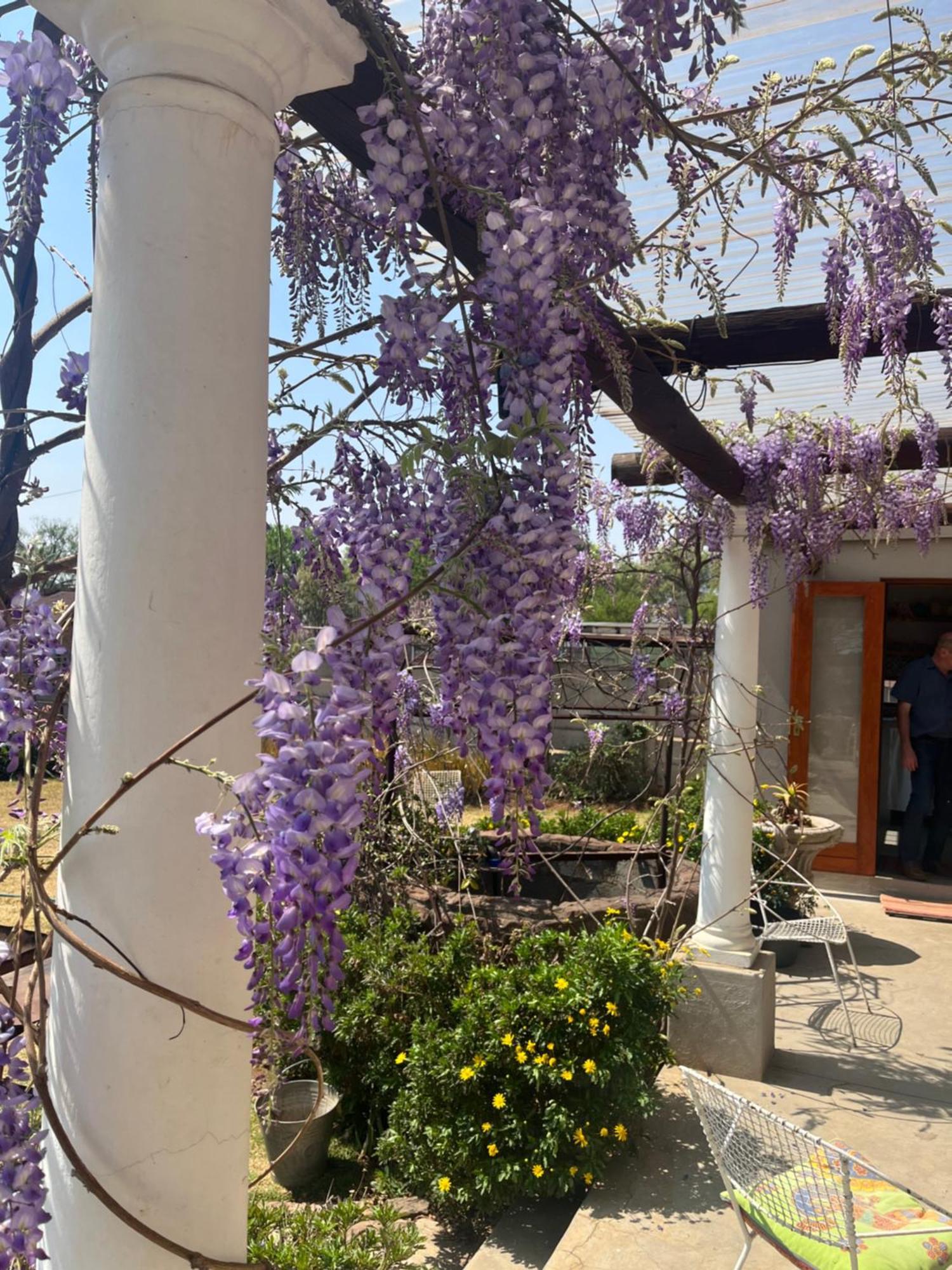 Bed and Breakfast Apple And Rose eMakhazeni Exterior foto