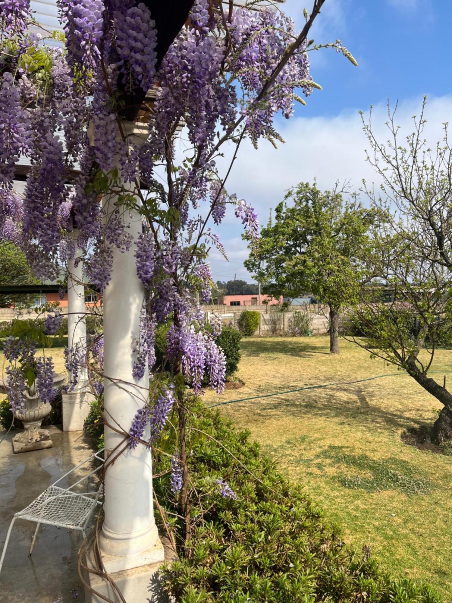 Bed and Breakfast Apple And Rose eMakhazeni Exterior foto